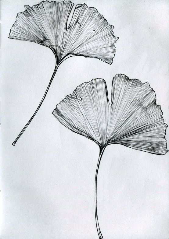 Tattoo Blumenzeichnung Zeichnungen Pflanzen Kunst