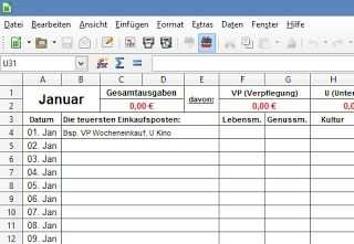 Klassisches Haushaltsbuch Im Excel Format Haushaltsbuch Vorlage