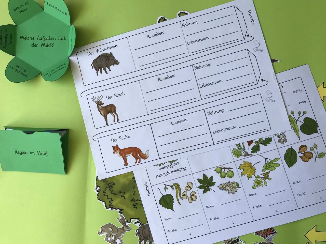 Kruschkiste Material Sachunterricht Lapbooks Grundschule