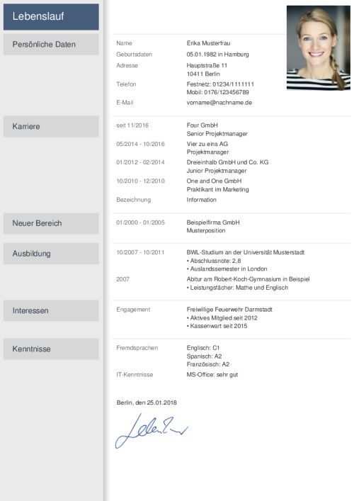 Premium Bewerbungsmuster 11 Lebenslauf Lebenslauf Vorlagen Word