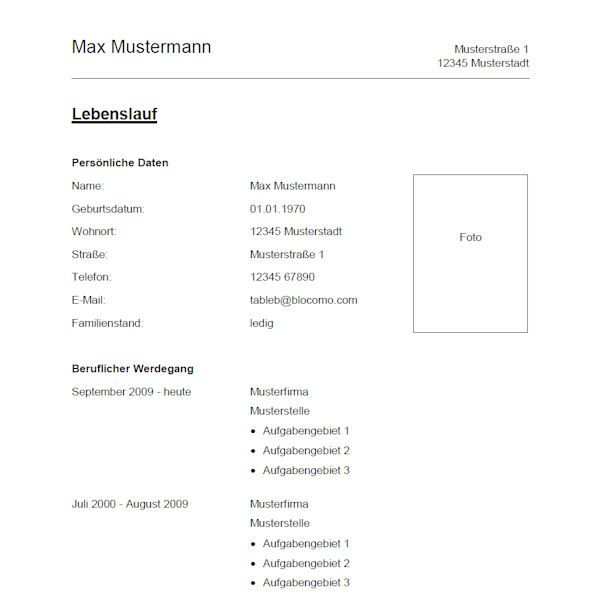 Professional Lebenslauf Vorlage Lebenslauf Vorlage Fur Word