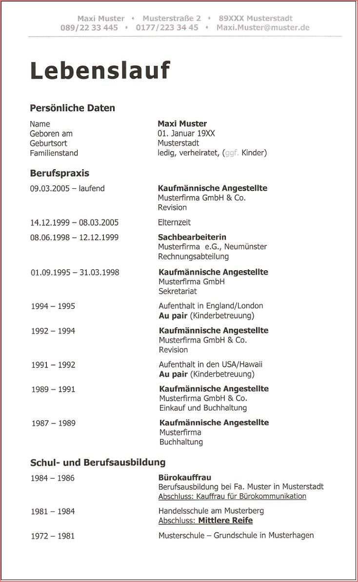 Vorlage Lebenslauf Bogy In 2020 Vorlagen Lebenslauf Lebenslauf