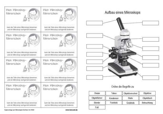 Arbeitsblatt Mikroskopfuhrerschein Mikroskop Biologie
