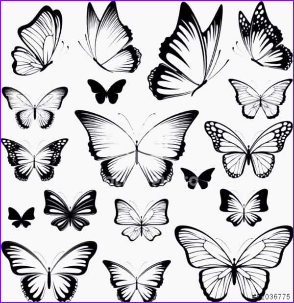 Schmetterling Mobile Schablone Basteln Fruhling Fensterdeko