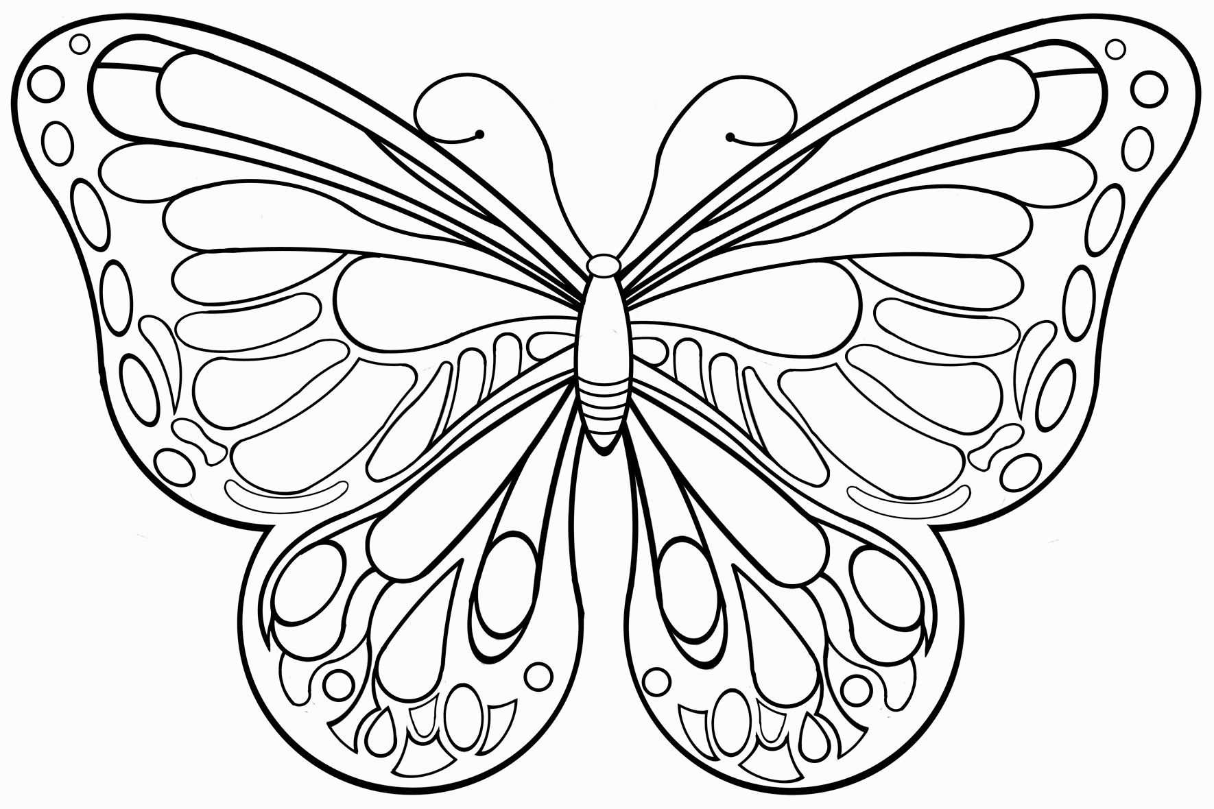 Schmetterling Schablone Zum Ausschneiden